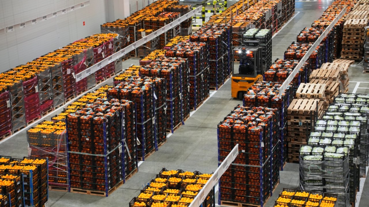 Предприятия потребительской сферы Кубани перечислили в бюджет 75,1 млрд рублей Пресс-служба администрации Краснодарского края