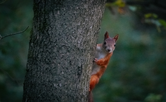 Что можно и нельзя в 24-й лунный день 13.11.2025 года — день искушений и важных решений Что можно и нельзя в 24-й лунный день 13.11.2025 года — день искушений и важных решений