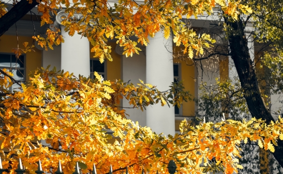 13 ноября отмечаем праздники: День качества, доброты, чествуем слепых, работников банка и не только 13 ноября отмечаем праздники: День качества, доброты, чествуем слепых, работников банка и не только