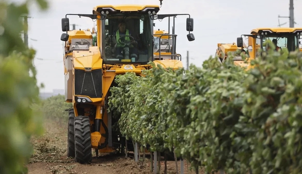 пресс-служба Администрации Краснодарского края